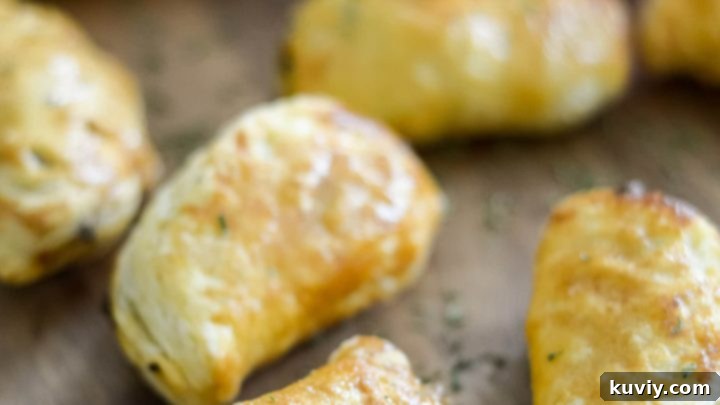 Easy Air Fryer Empanadas