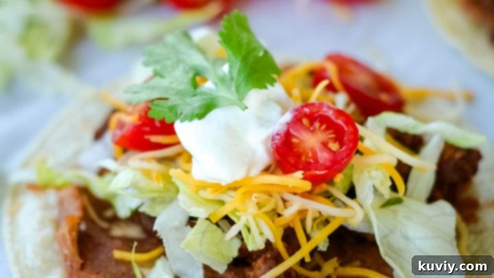 Easy Air Fryer Tostadas