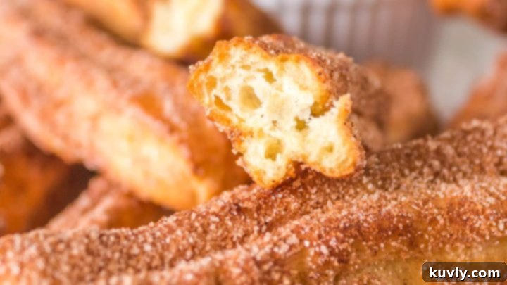 Air Fryer Cinnamon Sugar Churros