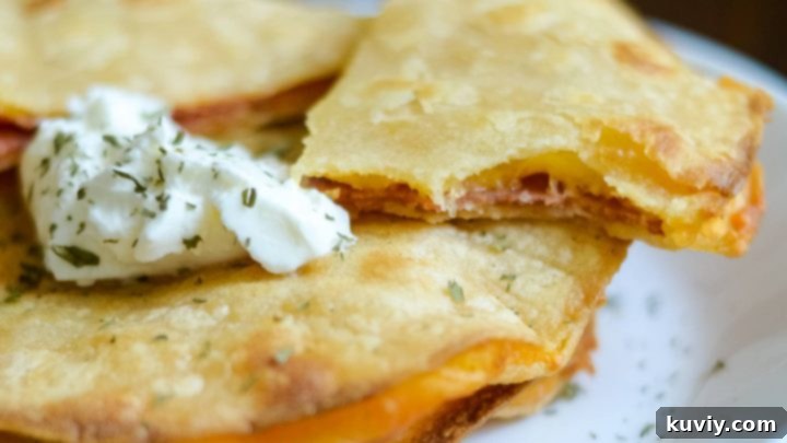 Easy Air Fryer Quesadillas