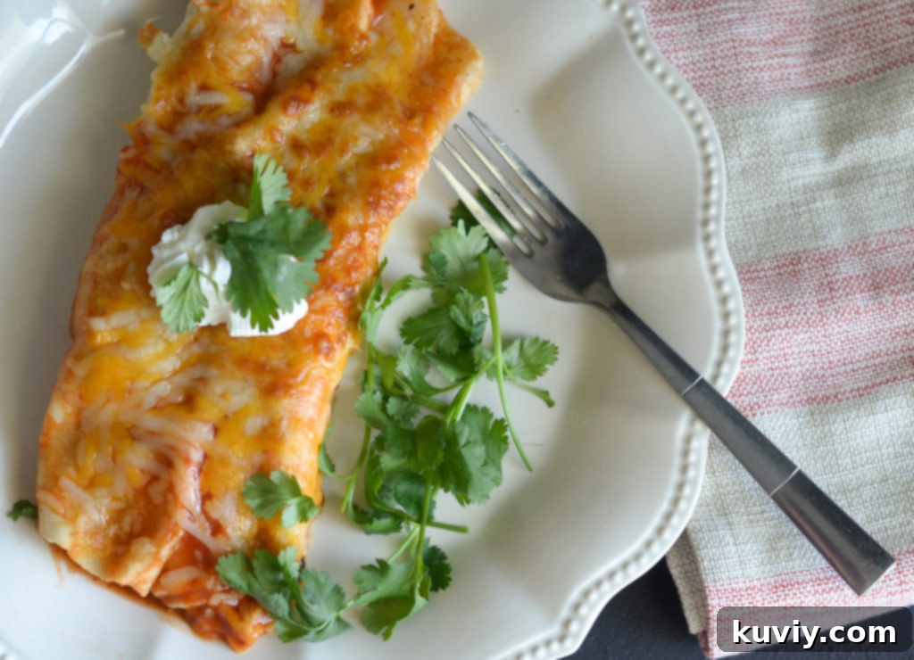 Assortment of Air Fryer Mexican dishes ready to eat