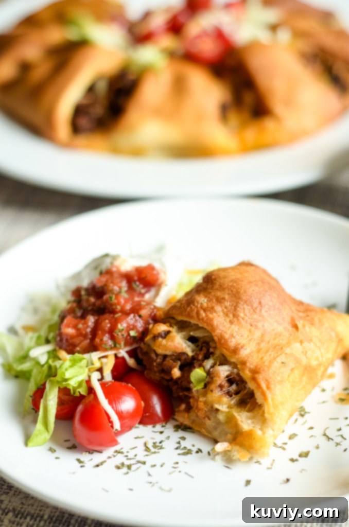 Your New Favorite Air Fryer Taco Ring 2 air fryer taco ring