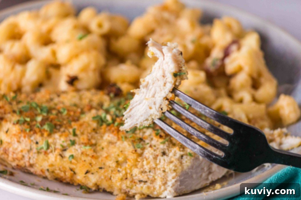 Crispy Air Fryer Shake and Bake Chicken Gluten-Free Option 10 air fryer shake and bake chicken