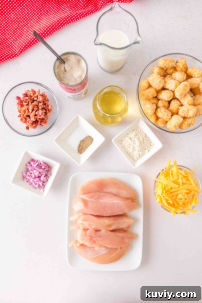 Collection of key ingredients for Air Fryer Chicken Bacon Ranch Casserole including chicken, tater tots, and ranch seasoning