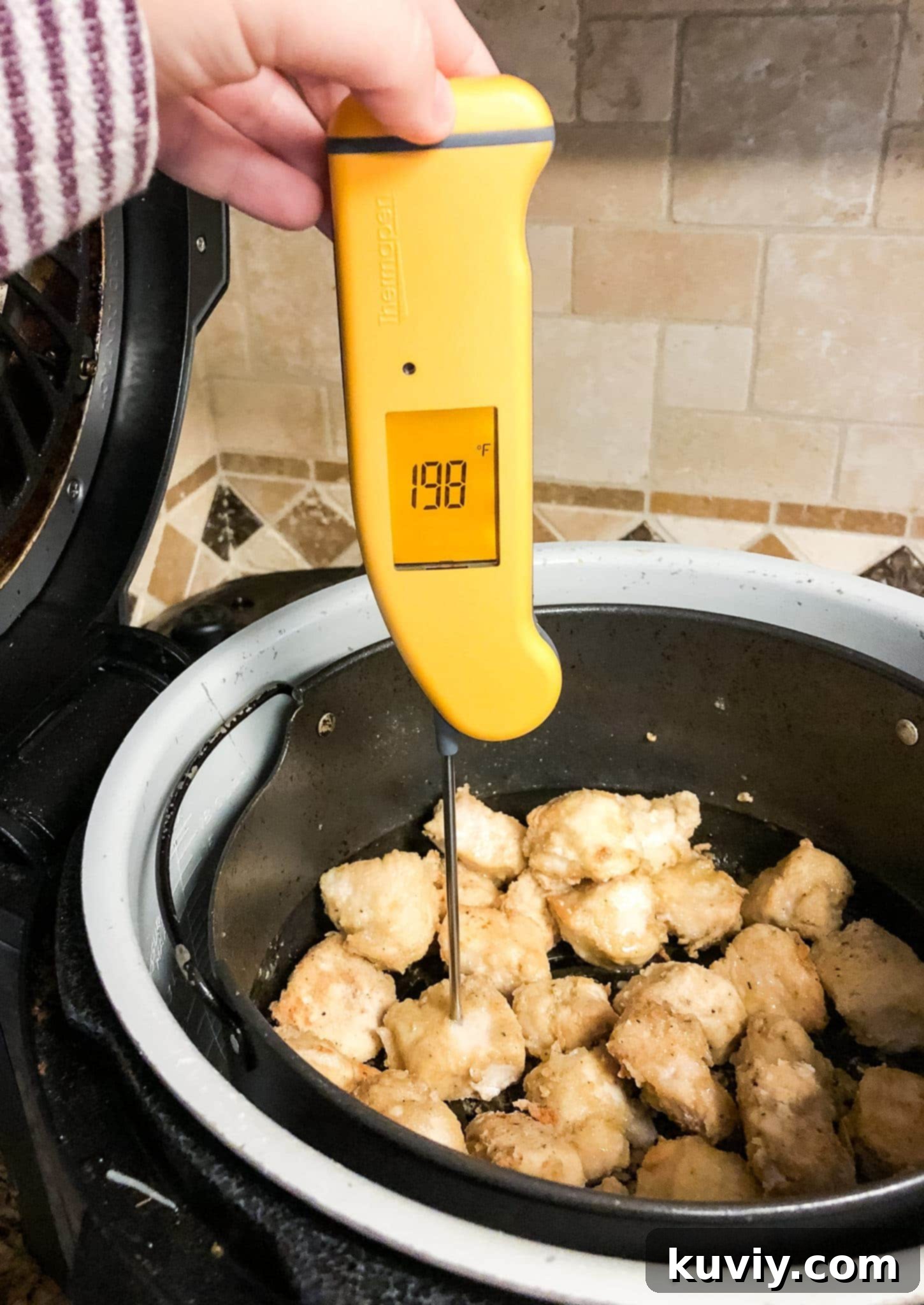 A quick-read thermometer checking the internal temperature of cooked chicken.