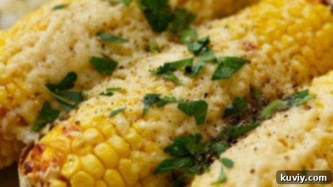 Air Fryer Mexican Street Corn Recipe