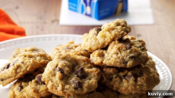 Air-Fryer Chocolate Chip Oatmeal Cookies
