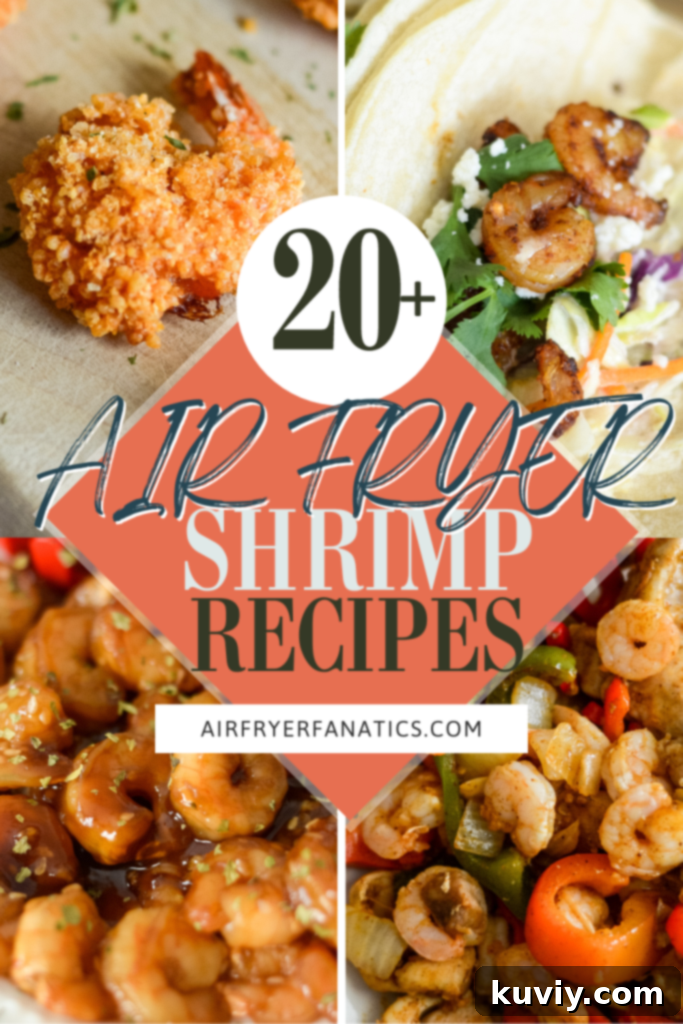AIR FRYER SHRIMP RECIPES
