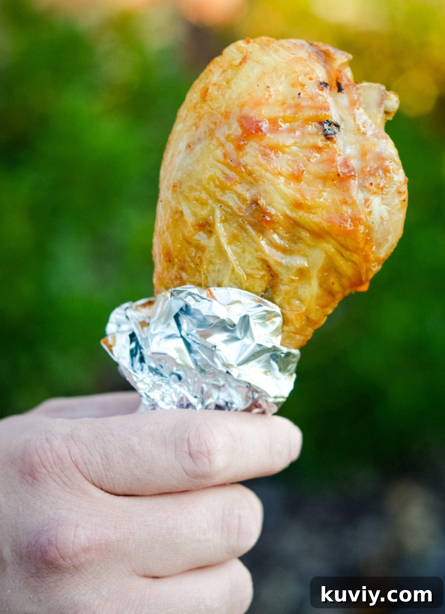 Crispy Air Fryer Turkey Legs