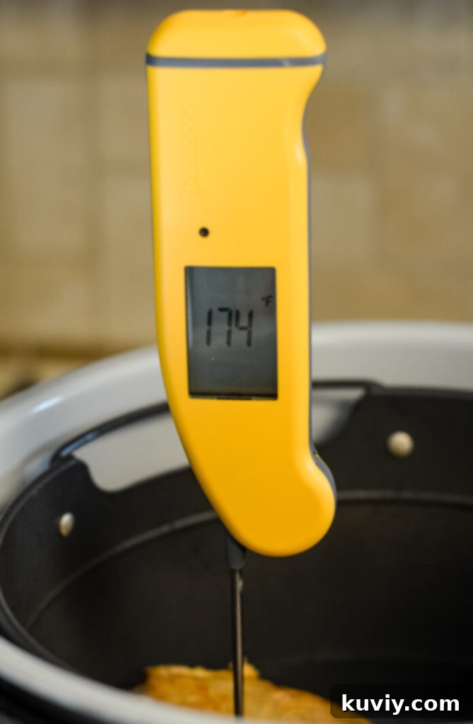 air fryer turkey legs seasoning