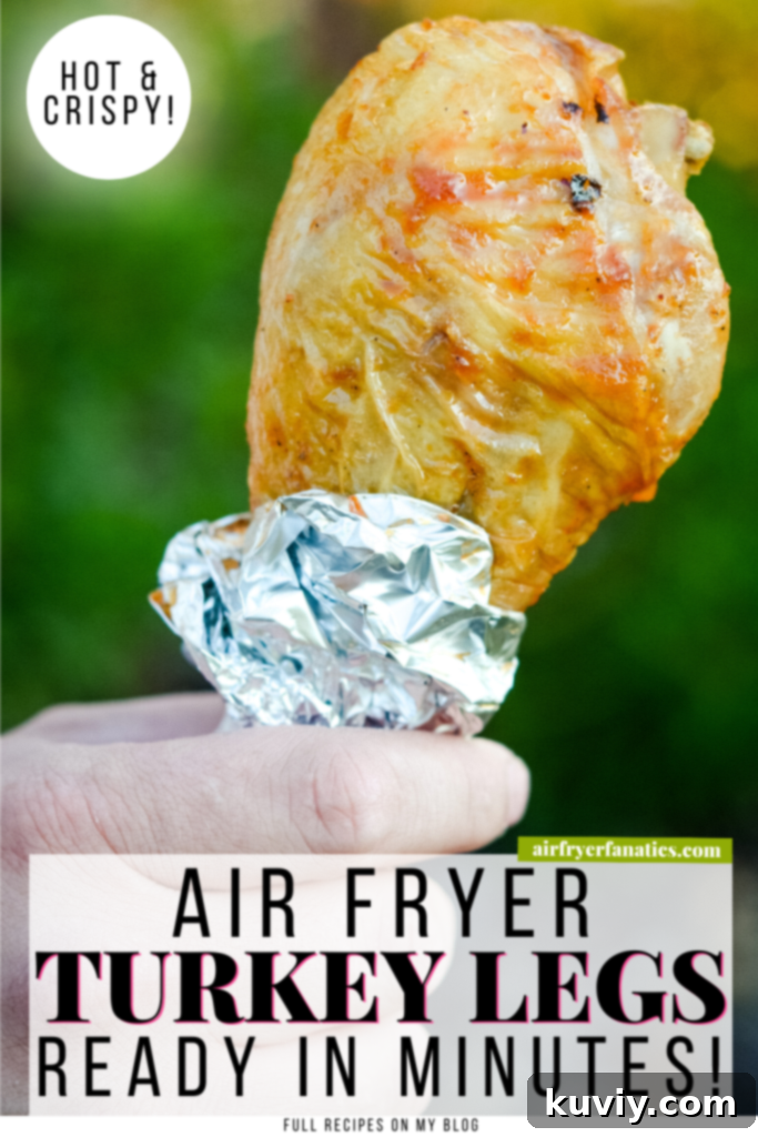 AIR FRYER TURKEY LEGS close up