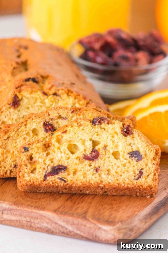 air fryer orange cranberry bread gluten free