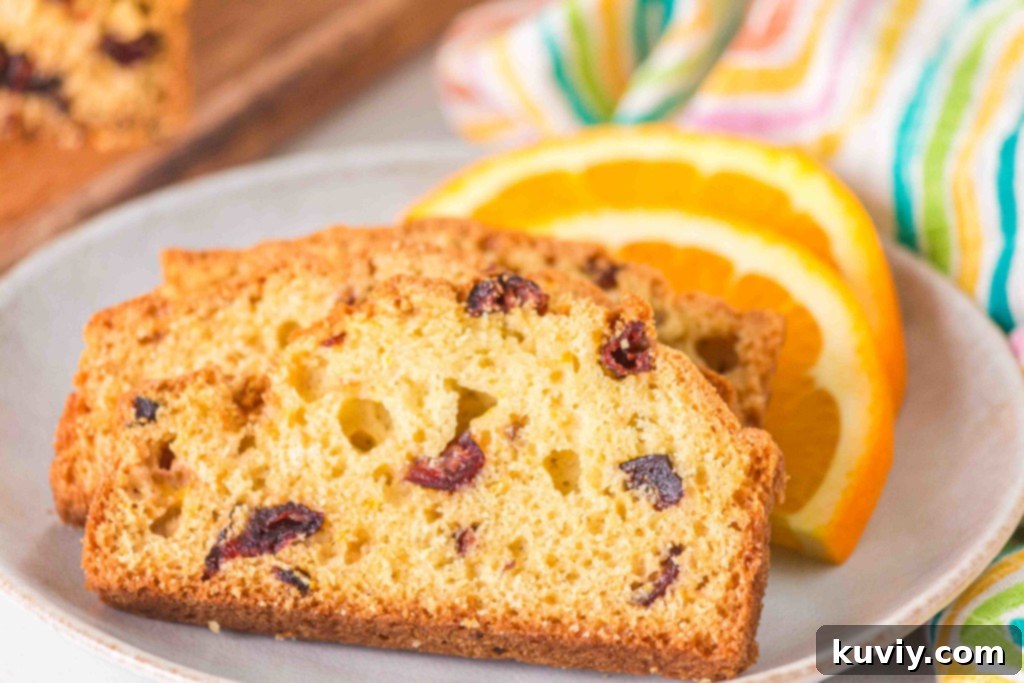 air fryer orange cranberry bread gluten free