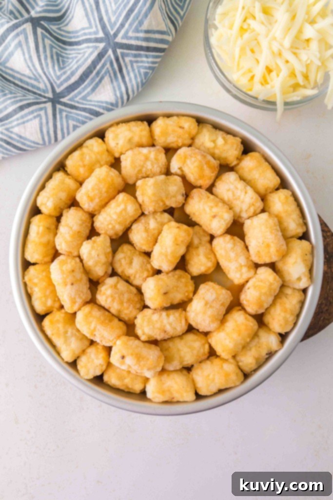 air fryer taco tater tot casserole for special diets