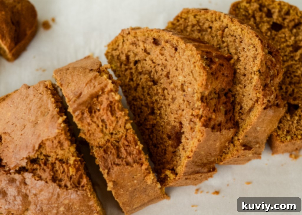 gluten free air fried pumpkin bread
