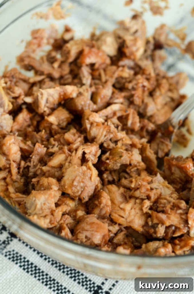 air fryer pulled pork