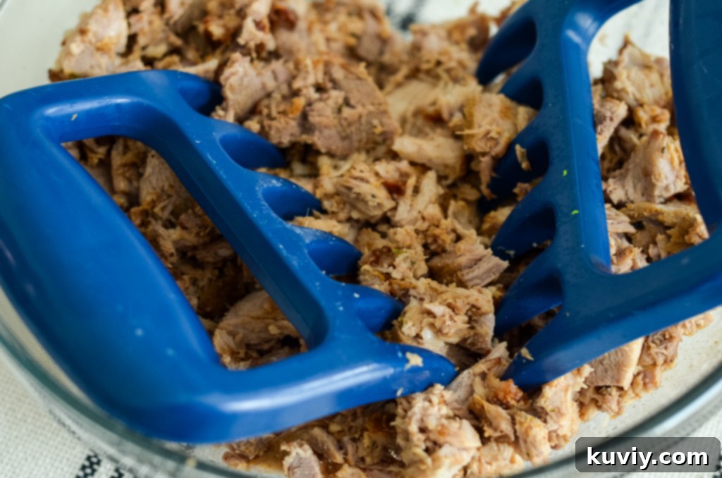 air fryer pulled pork