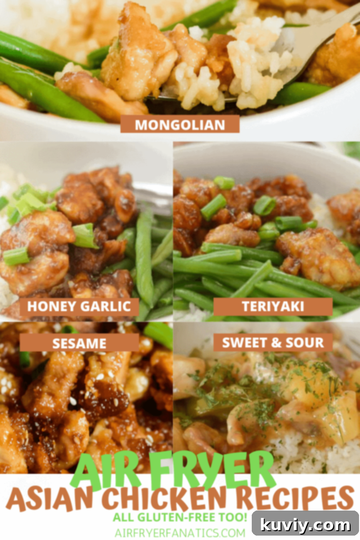 Air Fryer Asian Chicken Ready to Serve