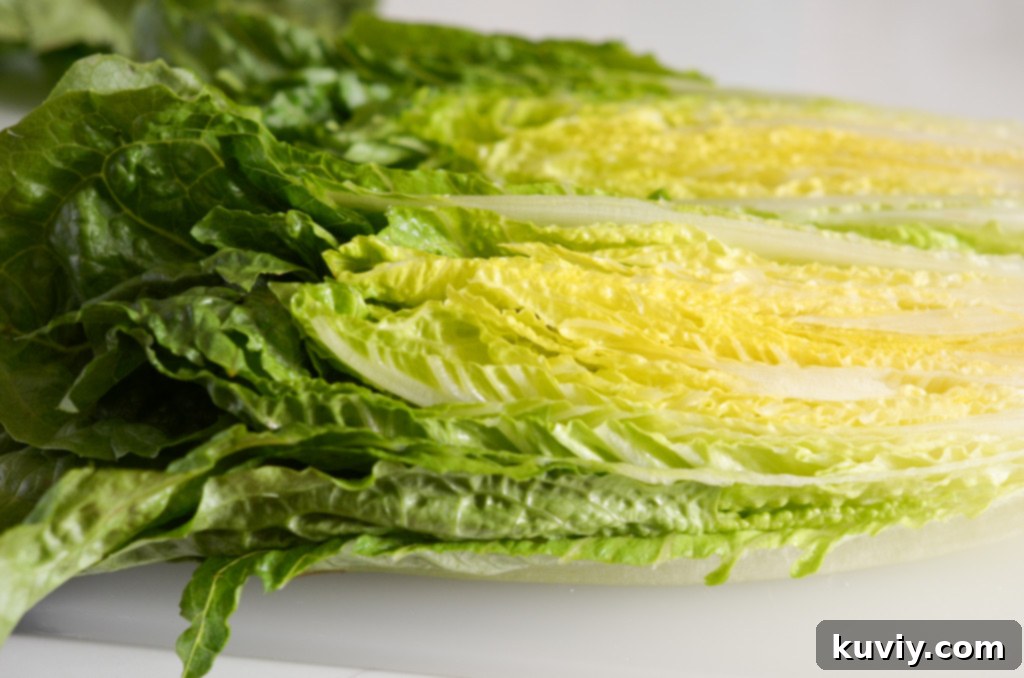 Crispy Air-Fried Romaine 3 air fryer romaine lettuce