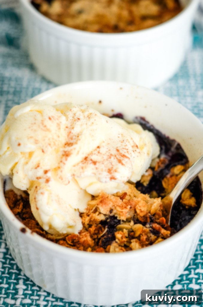 Effortless Air Fryer Blueberry Crisp 2 air fryer blueberry crisp recipe