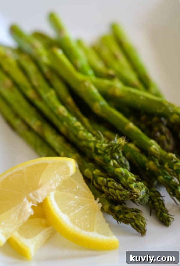 keto air fryer recipes