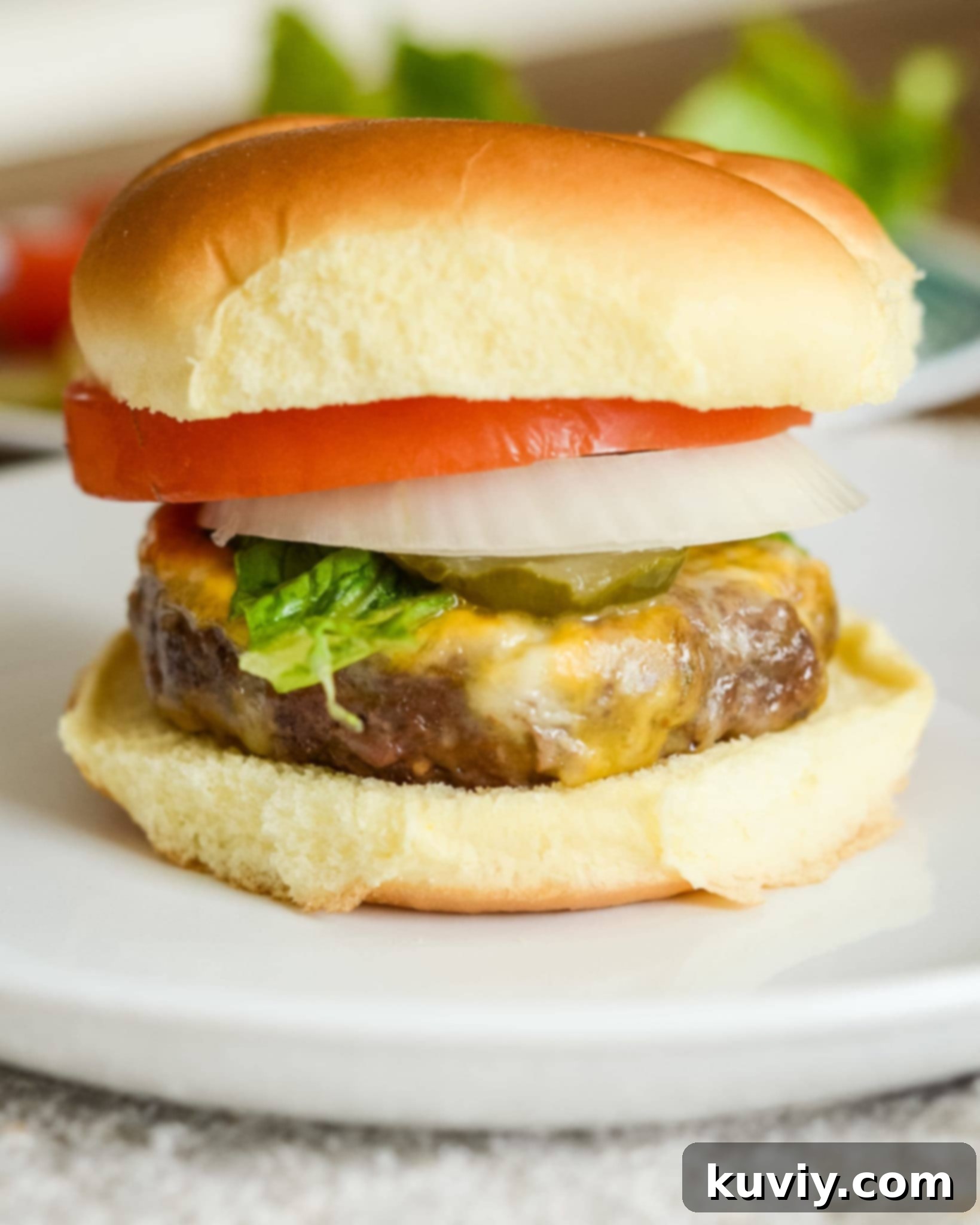 Air Fryer Onion Soup Mix Burgers served with air fryer potato chips