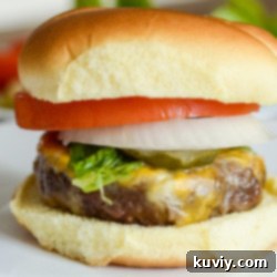 Air Fryer Onion Soup Mix Burger