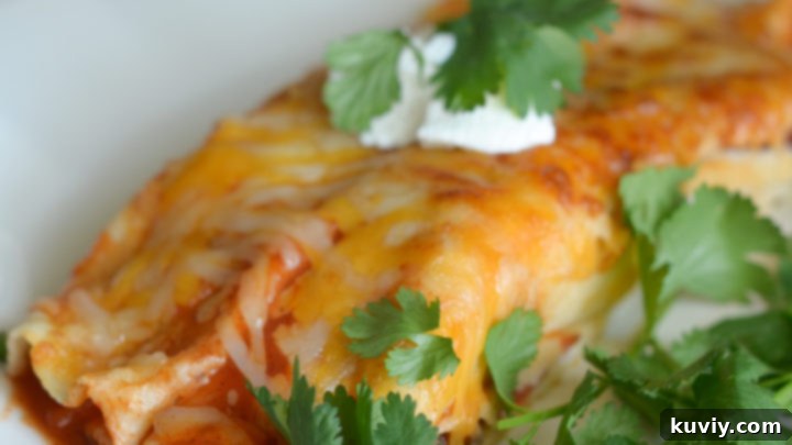 Tasty gluten-free air fryer cheesy beef enchiladas