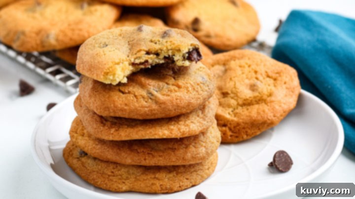 Air fryer chocolate chip cookies, regular or gluten-free