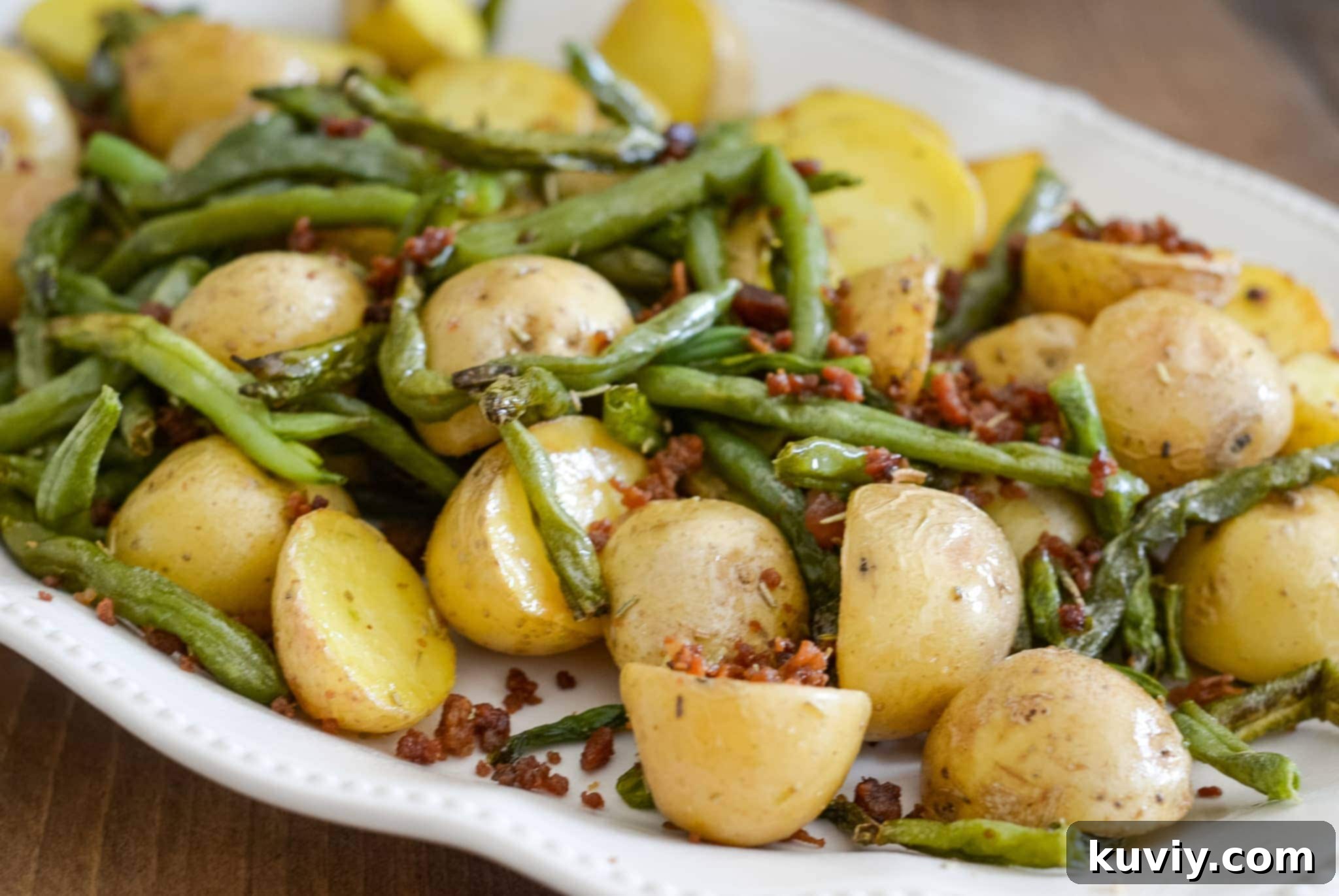 A versatile Ninja Foodi Multi-Cooker displayed on a kitchen counter.