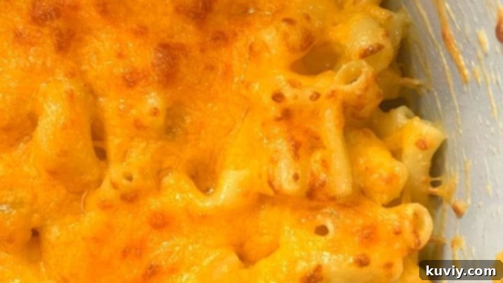 Creamy and golden Ninja Foodi Homemade Macaroni and Cheese.