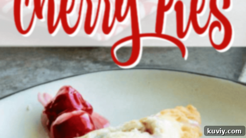 Golden brown Air Fryer Cherry Hand Pies, a quick and easy dessert.