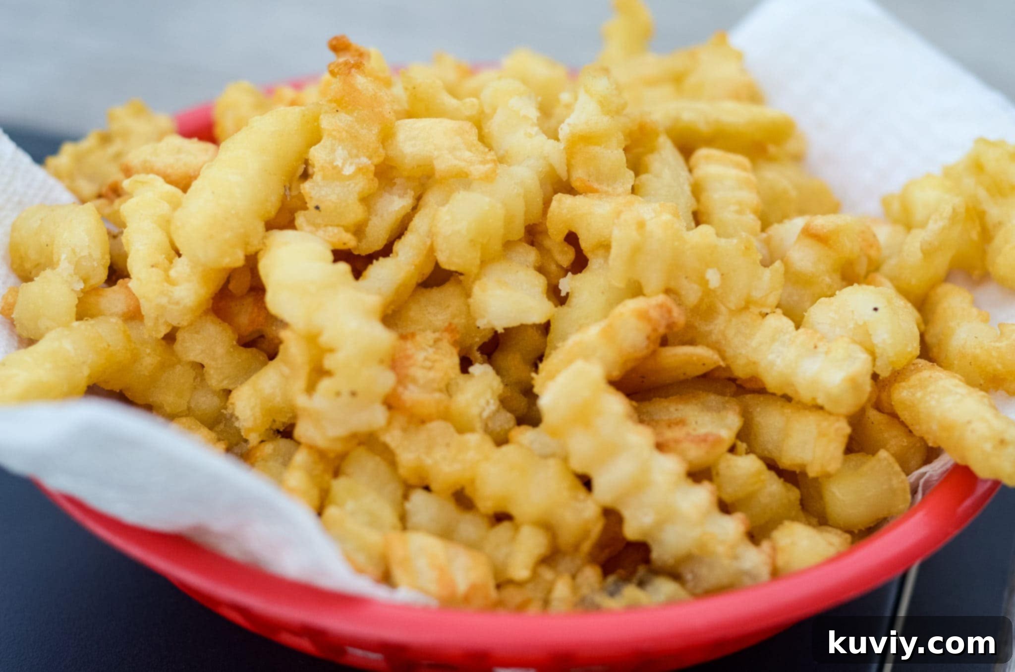 Easy Air Fryer Frozen French Fries: Crispy Perfection 2 Crispy Air Fryer Frozen French Fries served golden brown