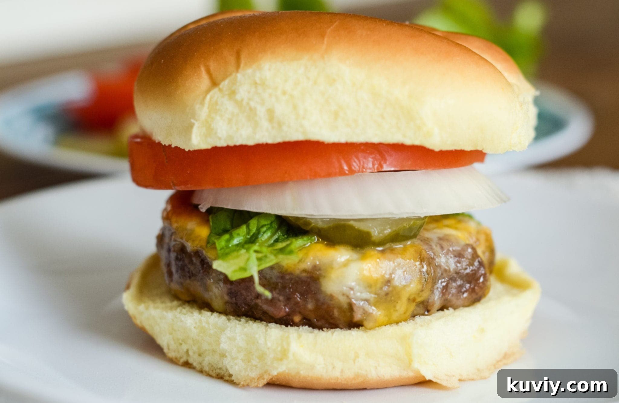 Air Fryer Onion Soup Mix Burgers with cheese and toppings