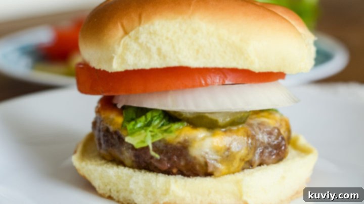 Air Fryer Onion Soup Mix Burgers