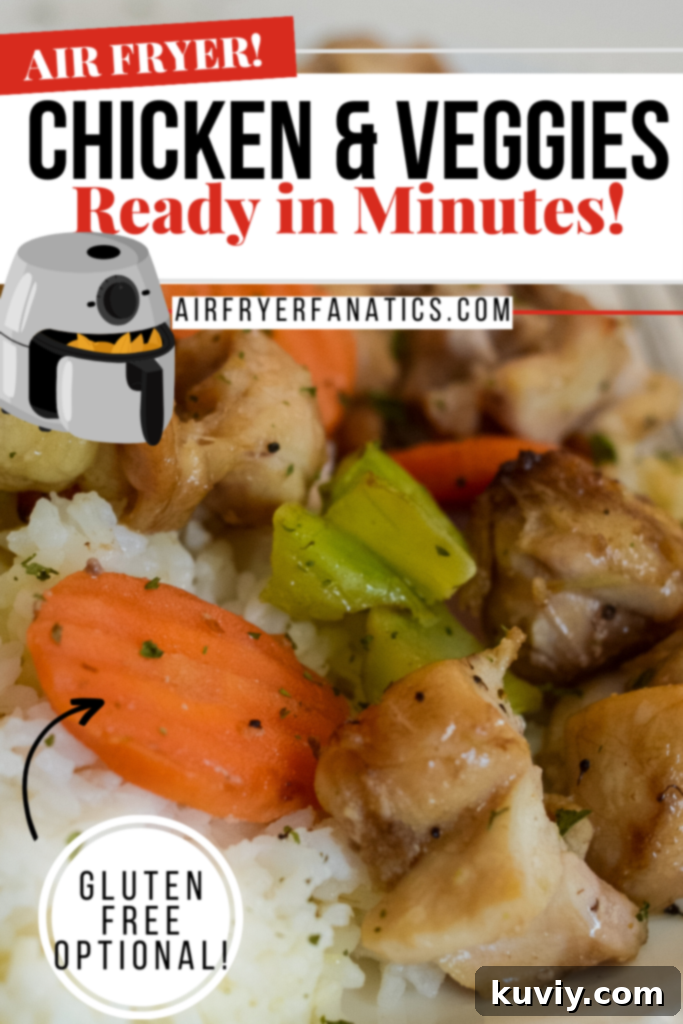 air fryer chicken and vegetables