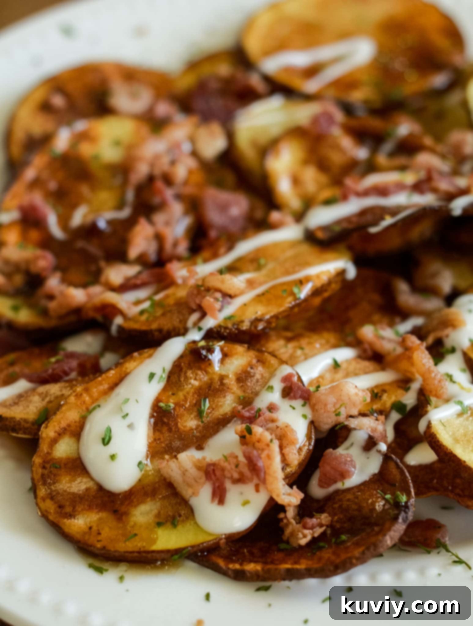 air fryer loaded potato chips