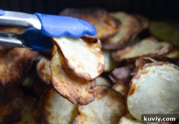 Air Fryer Loaded Potato Chips with ranch and balsamic