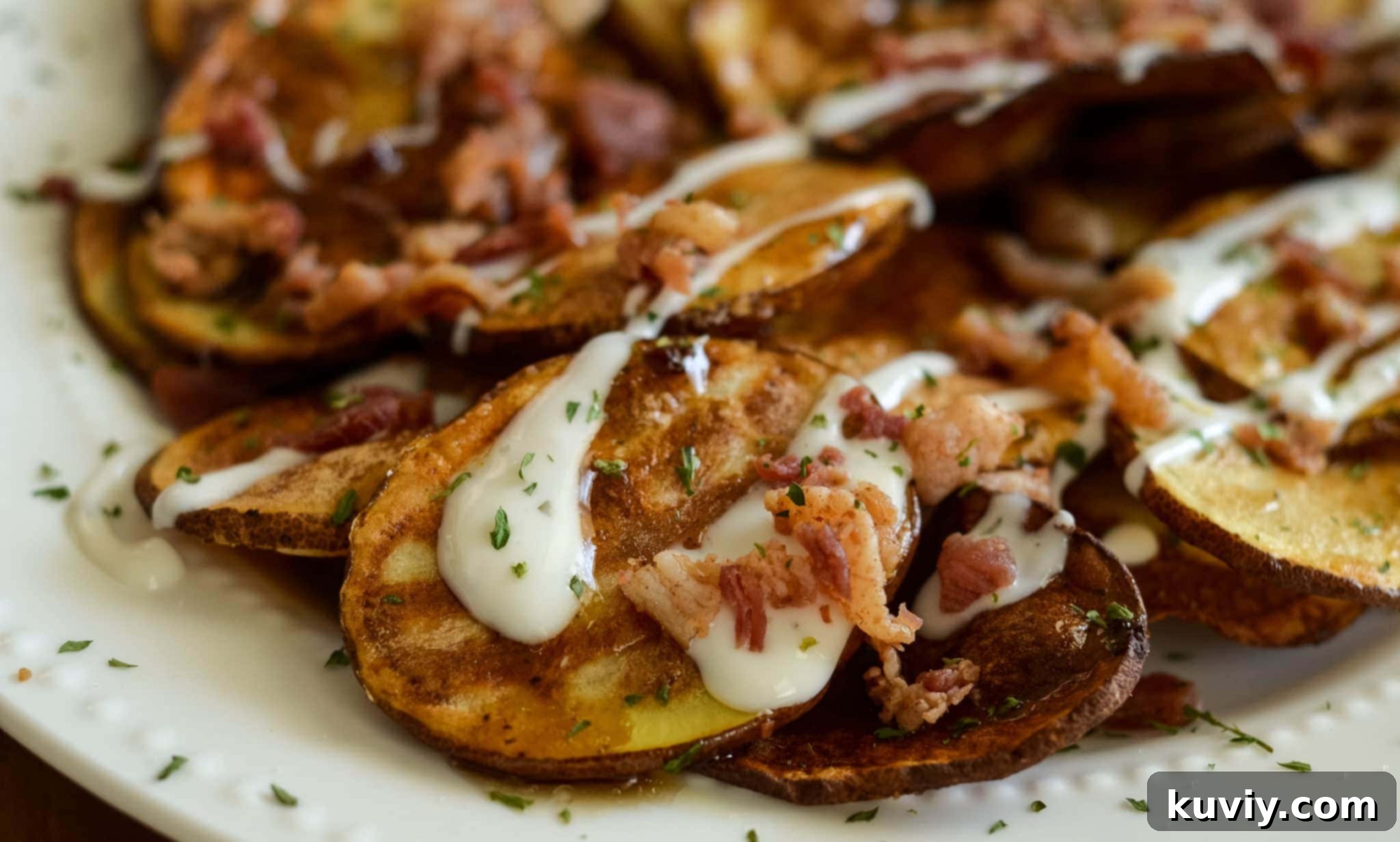 air fryer loaded potato chips