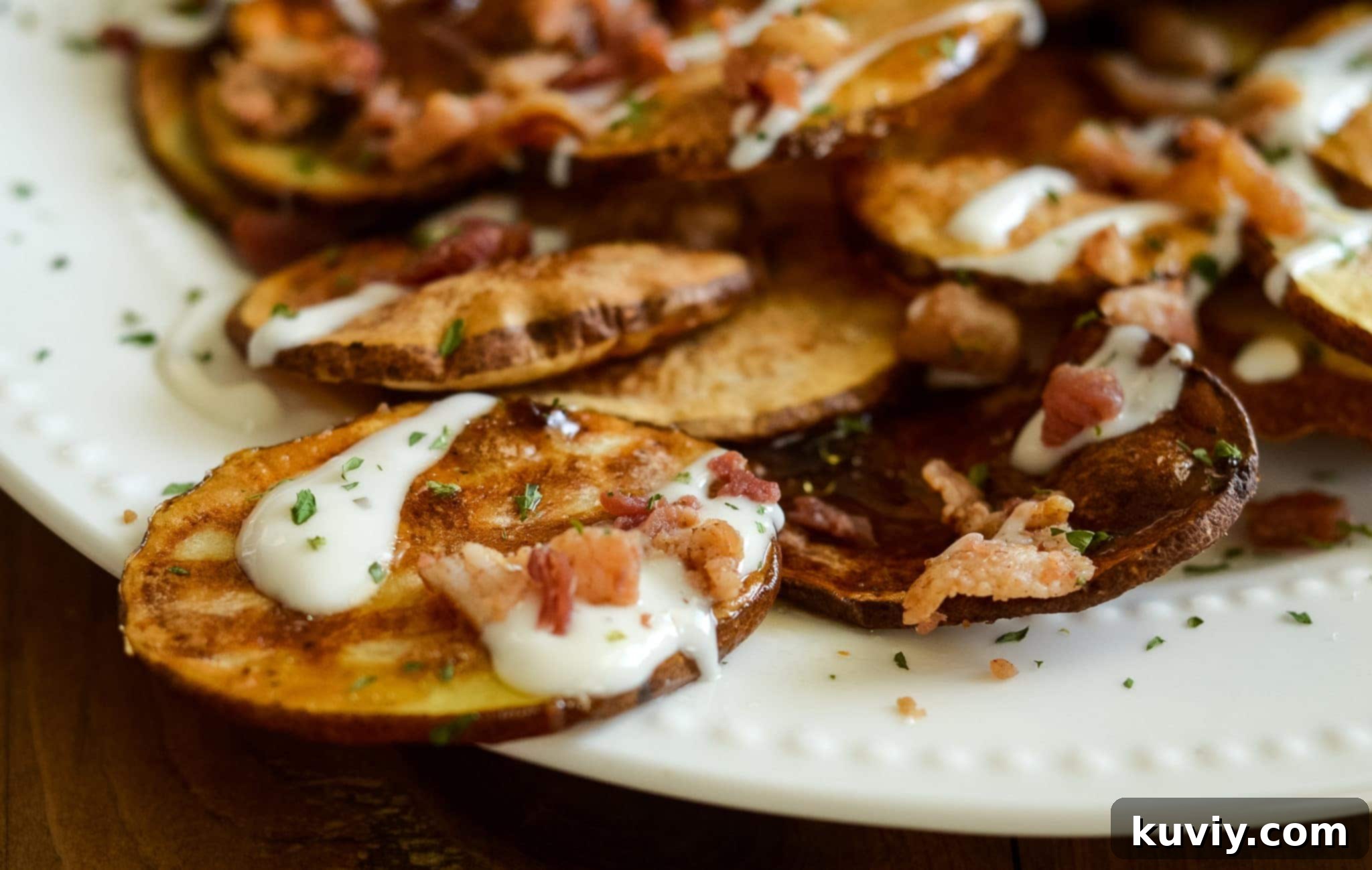 air fryer loaded potato chips