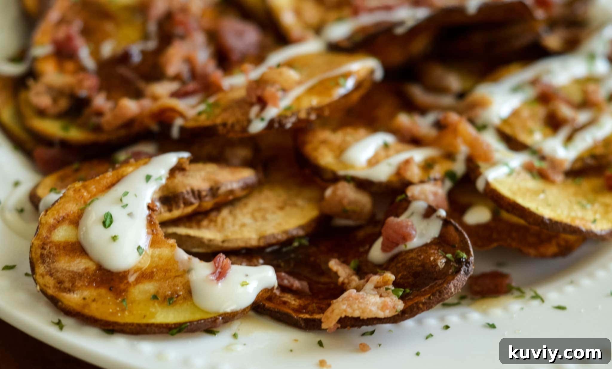 air fryer loaded potato chips