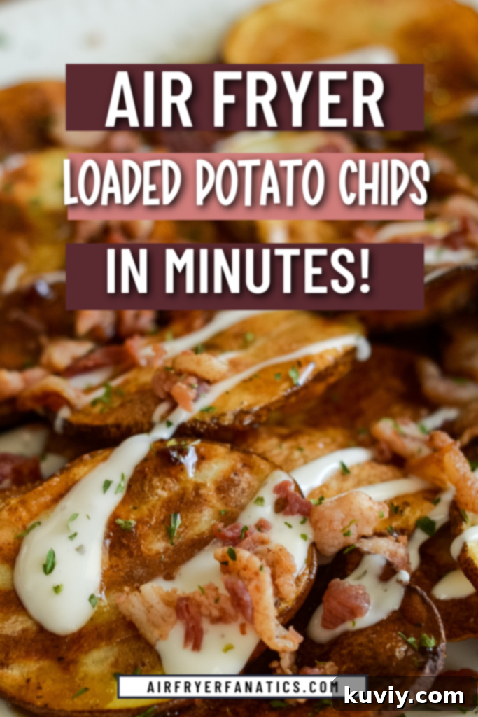 AIR FRYER LOADED POTATO CHIPS