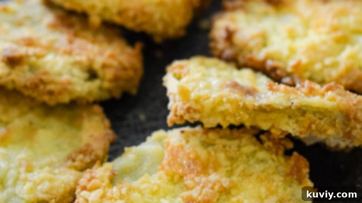 Air Fryer Fried Green Tomatoes - Crispy and gluten-free