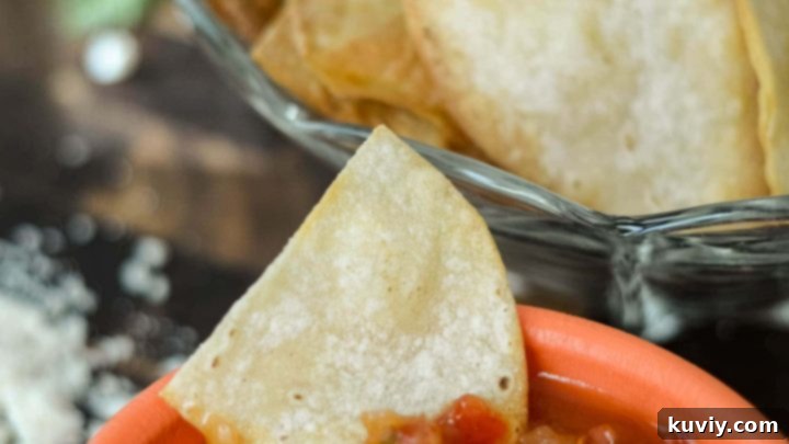 Easy Air Fryer Tortilla Chips (Gluten-Free) - Homemade and crispy