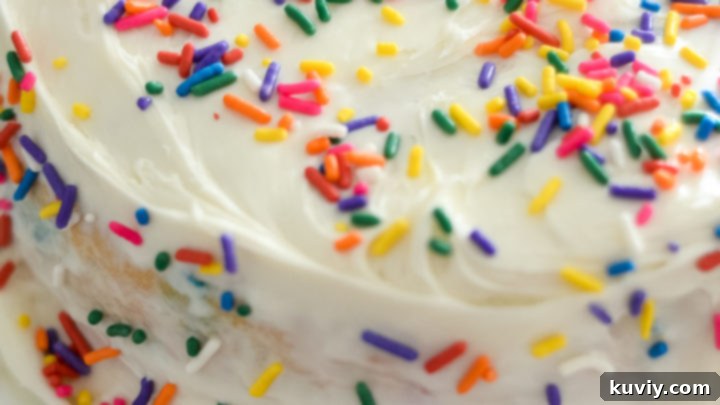 Easy Air Fryer Cake (Gluten-Free) - A simple, sweet treat