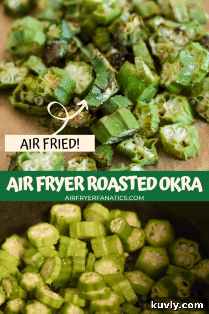 Close-up of freshly Air Fryer Roasted Okra in a bowl, showing crispy texture.