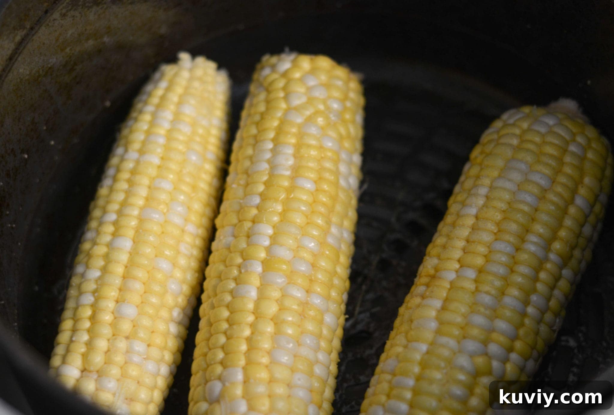 Two ears of shucked corn on the cob, prepared for air frying with olive oil spray and garlic salt