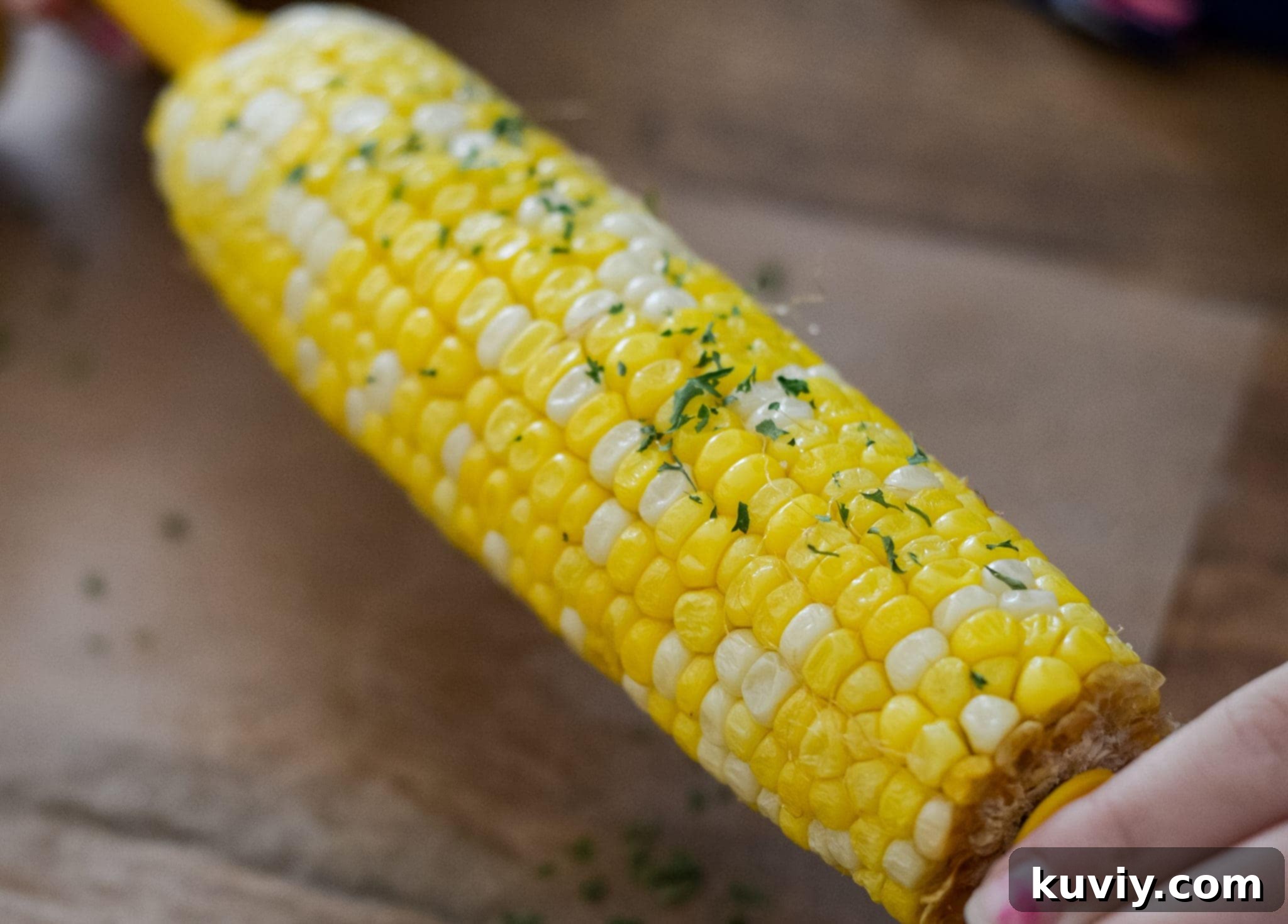 Three core ingredients for air fryer corn on the cob: fresh corn, olive oil spray, and garlic salt