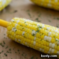 Air Fryer Corn on the Cob recipe card image
