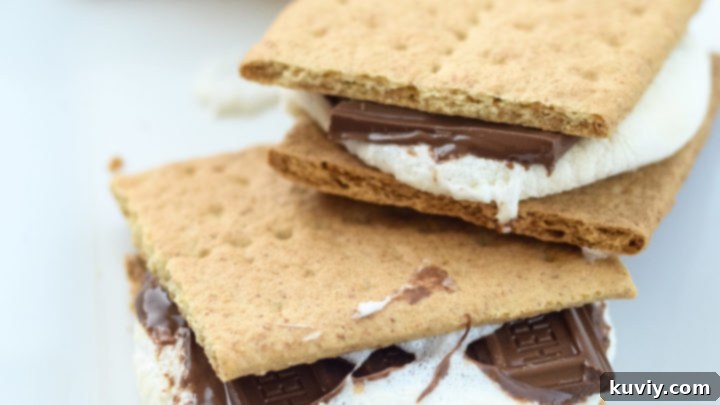 Easy Air Fryer S'mores (Ninja Foodi Compatible)